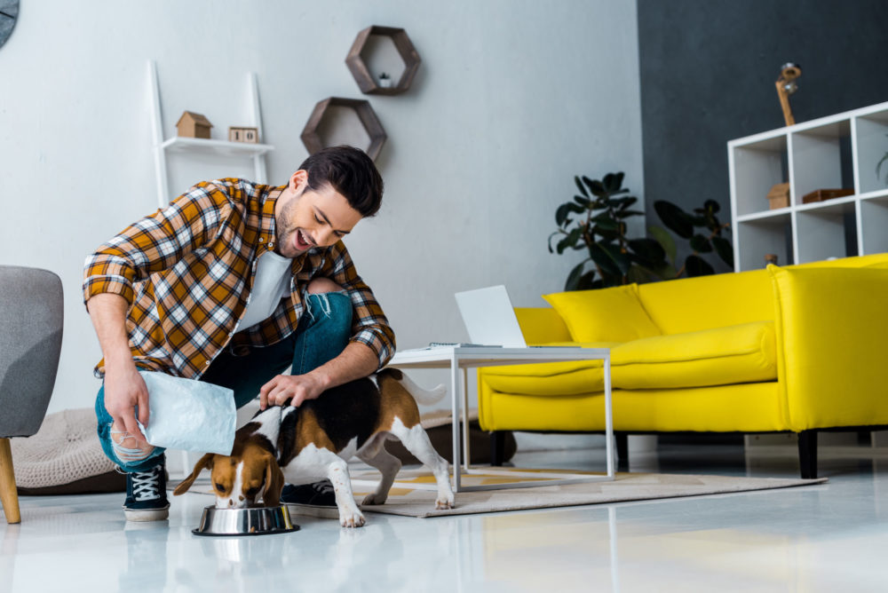 Why Flexible Packaging Is Ideal for Pet Food