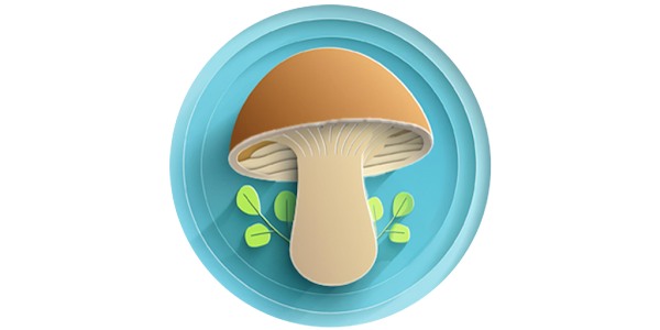 Best AI App for Mushroom Identification